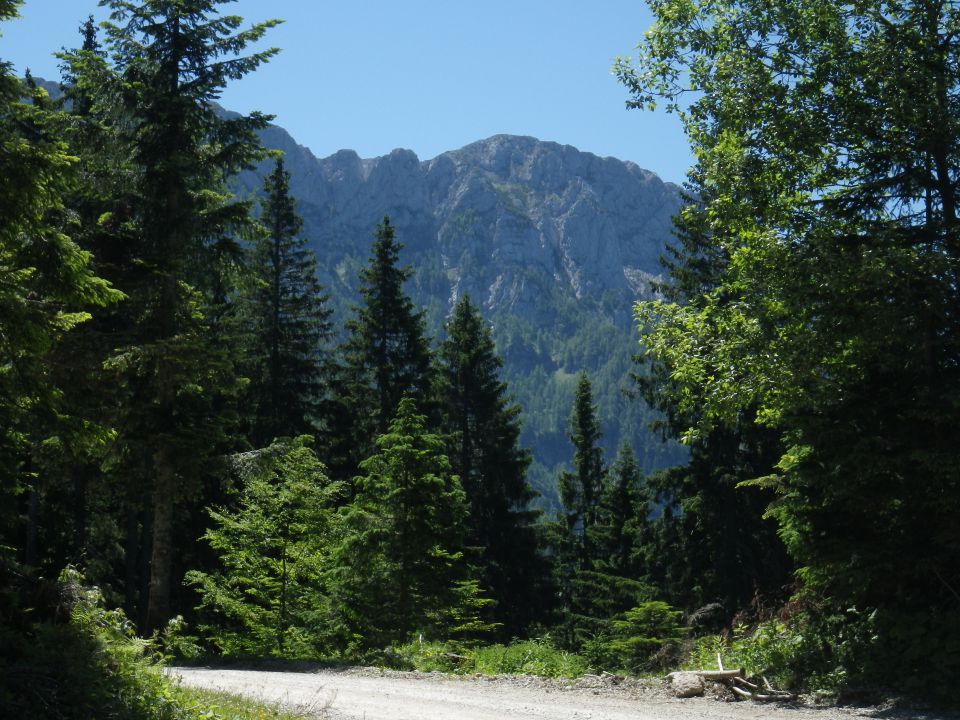 Raduha - 16., 17.6.2012 - foto povečava