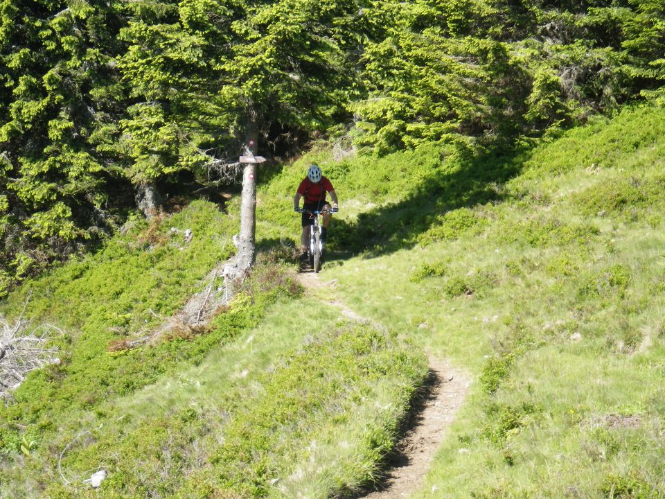 Raduha - 16., 17.6.2012 - foto povečava