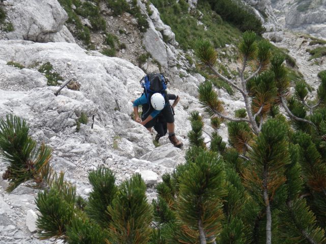 Ojstrica - 10., 11.8.2012 - foto