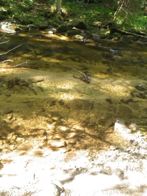 črno jezero - 8.9.2012 - foto