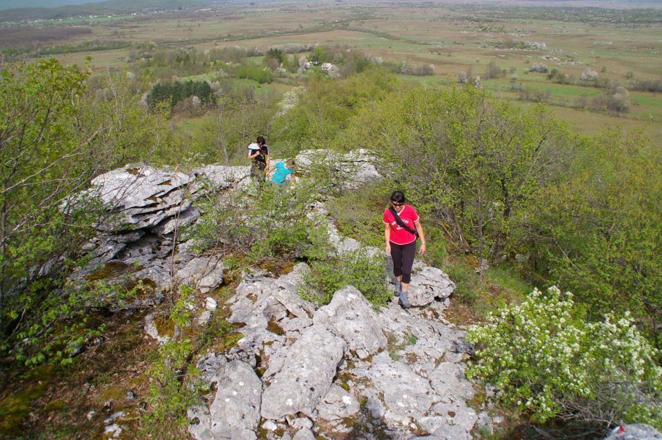 Zir - 29.4.2013 - foto povečava