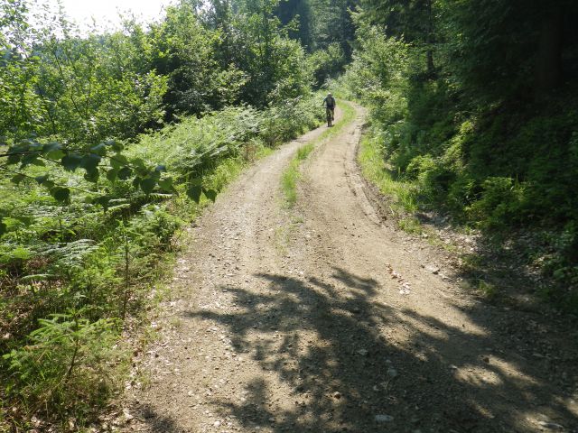 Lovrenc - Kremžar - Lovrenc - 19.06.2013 - foto