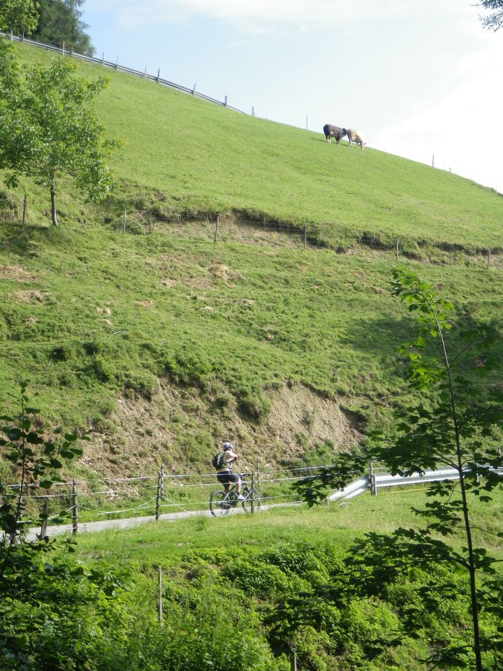 Košenjak - 06.07.2013 - foto povečava