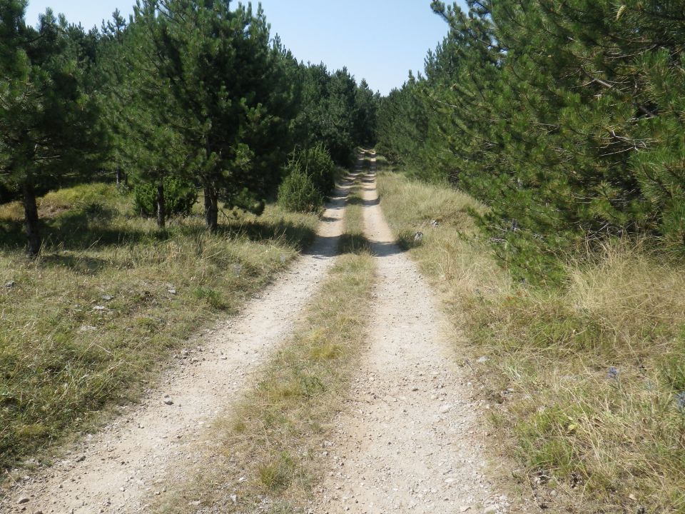 Velebit - 15.08.2013 - foto povečava