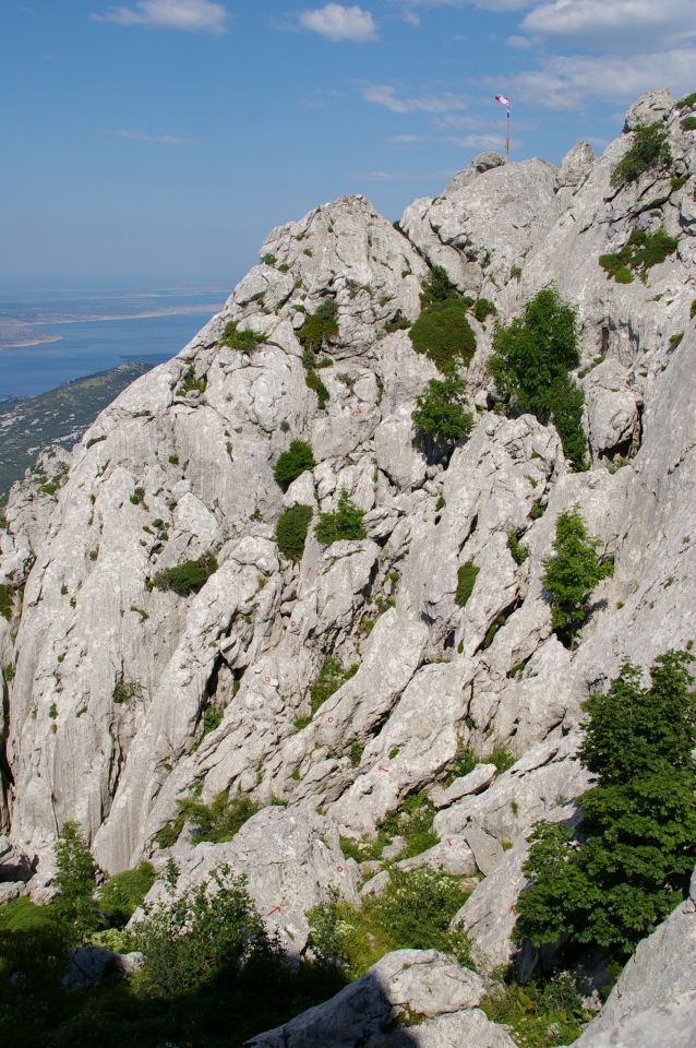 Tulove grede - 16.07.2014 - foto povečava