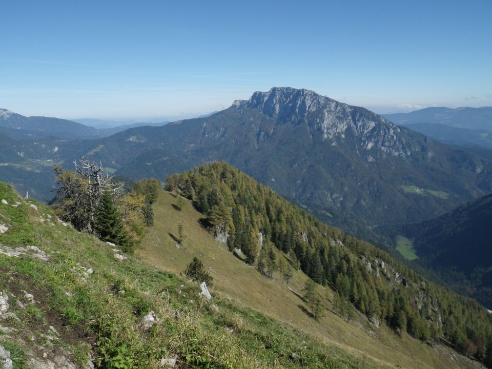 Strelovec - 30.09.2014 - foto povečava