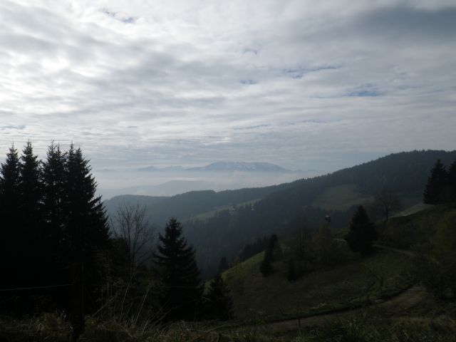 Košenjak - 29.10.2014 - foto