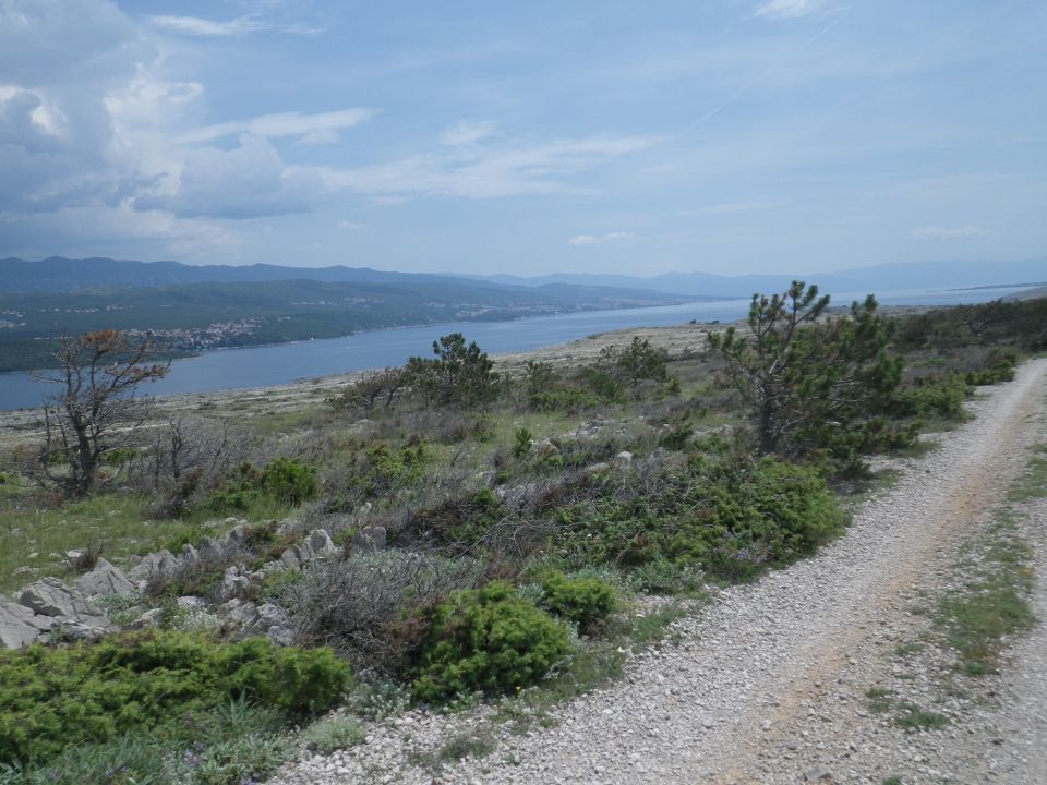 Krk, Cres, Lošinj - 8.-10.6.2016 - foto povečava