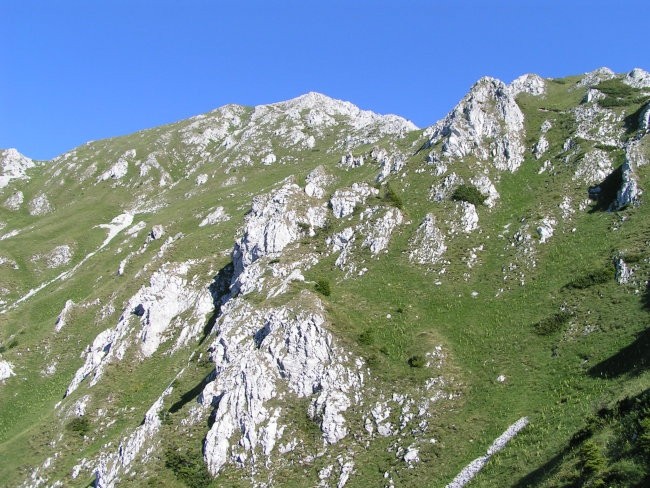 Planinski Tabor - Jezersko 2006 - foto povečava