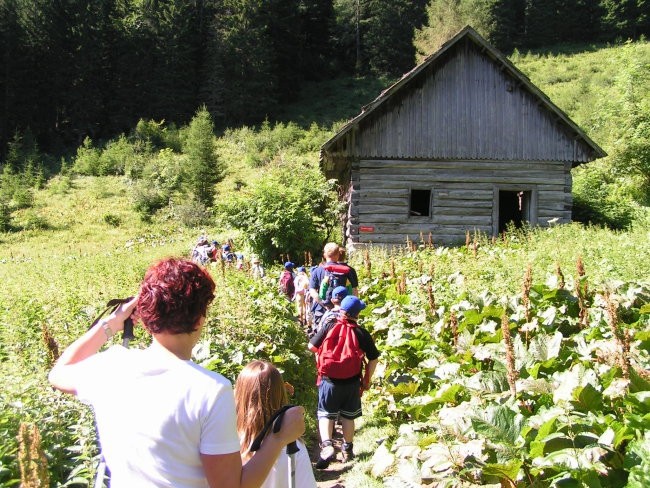 Planinski Tabor - Jezersko 2006 - foto povečava