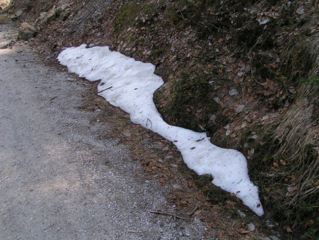 Prvi sneg
