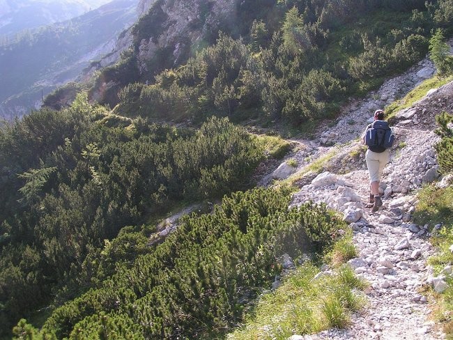 Proti Kranjski koči