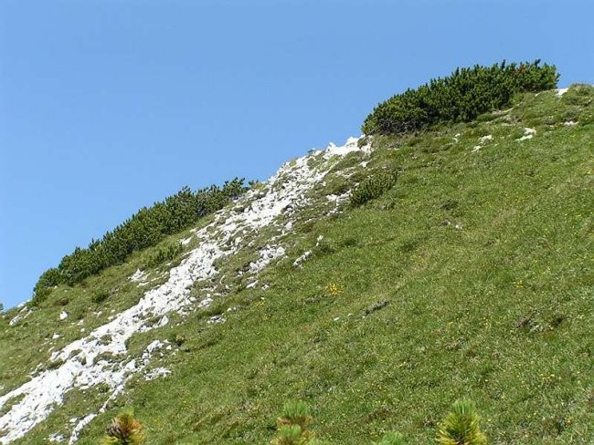 Planinski tabor - Jezersko 2007 - foto povečava