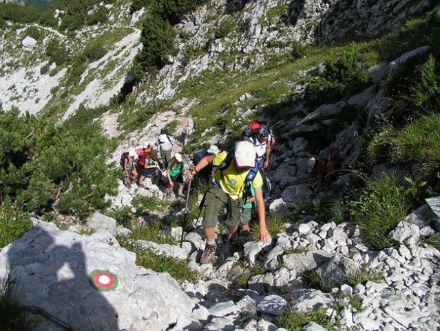 Planinski tabor - Jezersko 2007 - foto
