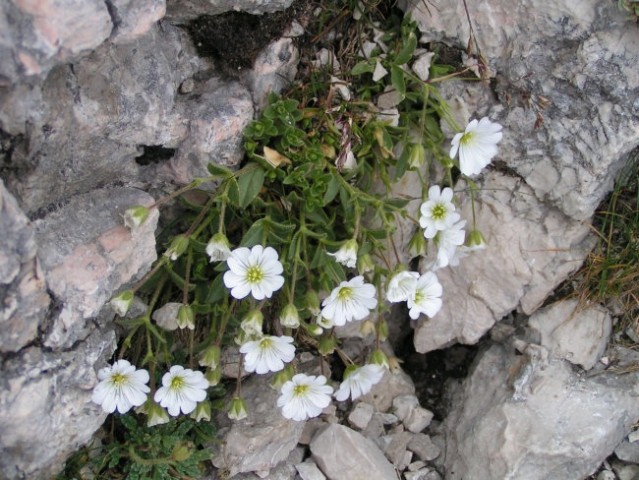 Triglav - 6.8.2007 - foto