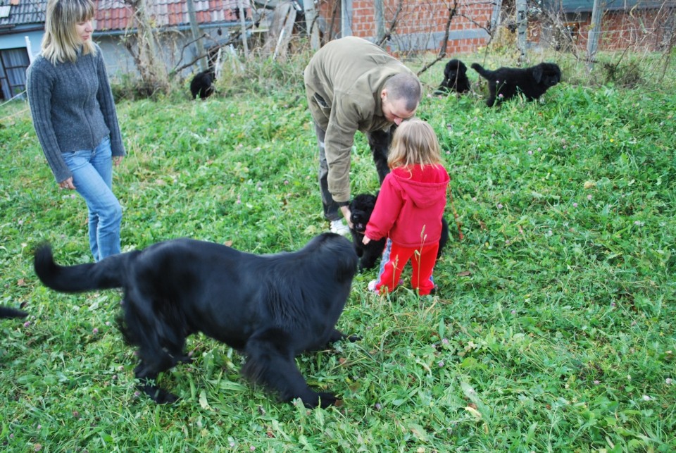 Mladi;i stari 9 tednov - foto povečava