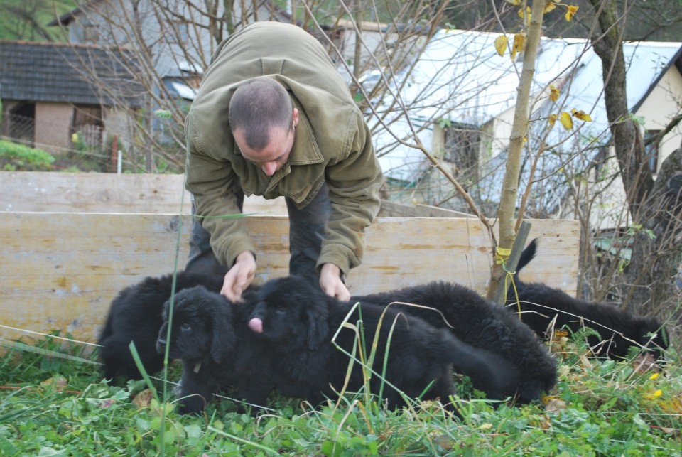 Mladi;i stari 9 tednov - foto povečava