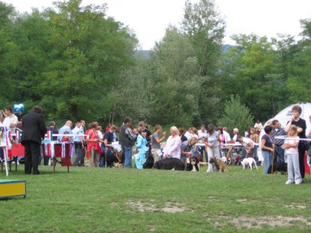 CAC Trbovlje 2006 - foto