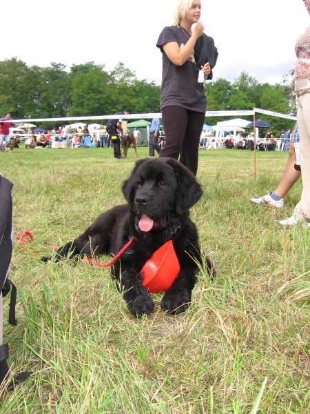 CAC Trbovlje 2006 - foto povečava