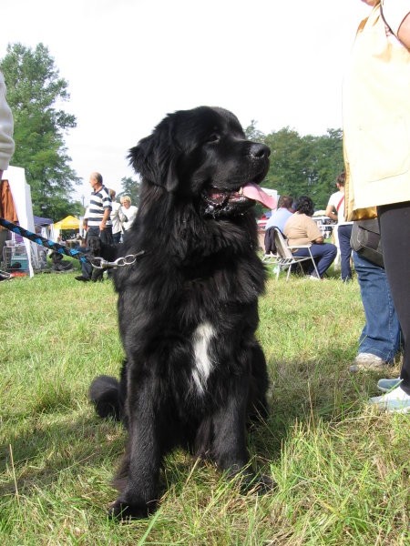 CAC Trbovlje 2006 - foto povečava