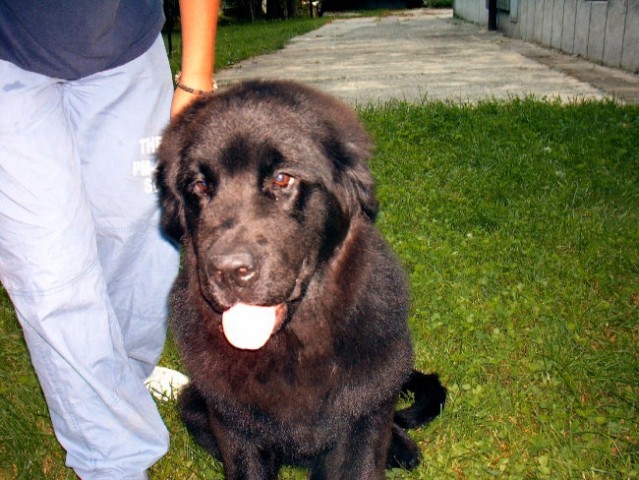 Biba - foto