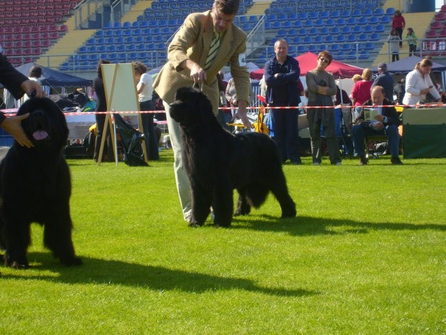 CACIB LENDAVA 2007 - foto povečava