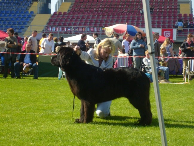 CACIB LENDAVA 2007 - foto povečava