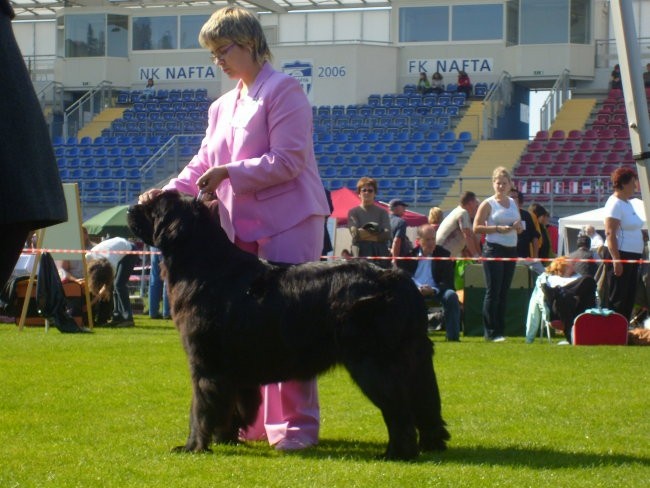 CACIB LENDAVA 2007 - foto povečava