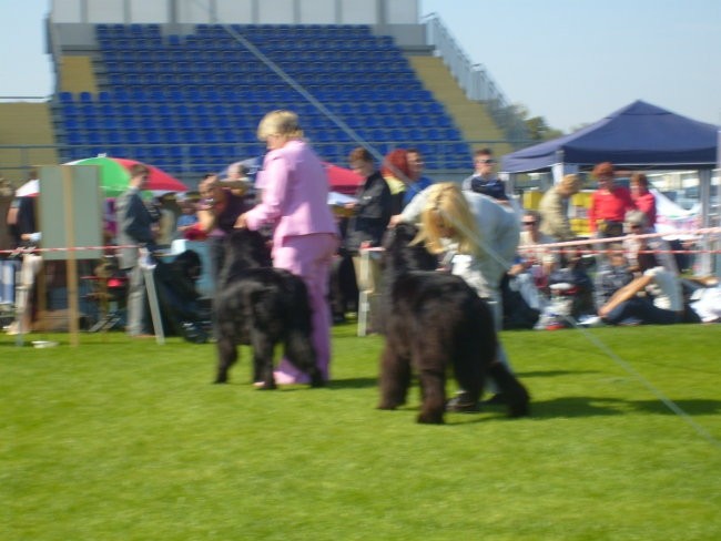 CACIB LENDAVA 2007 - foto povečava