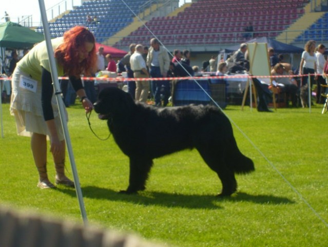 CACIB LENDAVA 2007 - foto