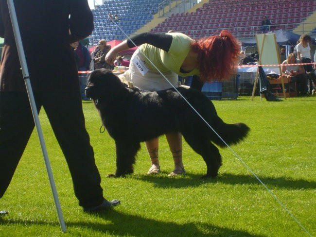 CACIB LENDAVA 2007 - foto povečava