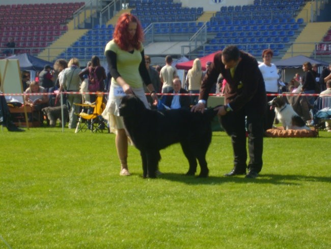 CACIB LENDAVA 2007 - foto povečava