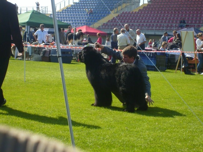 CACIB LENDAVA 2007 - foto povečava