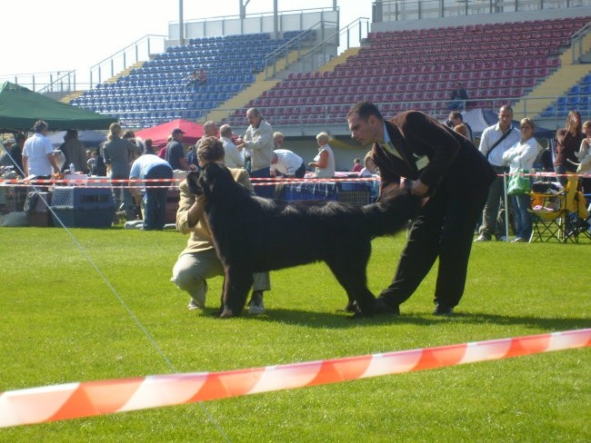 CACIB LENDAVA 2007 - foto povečava