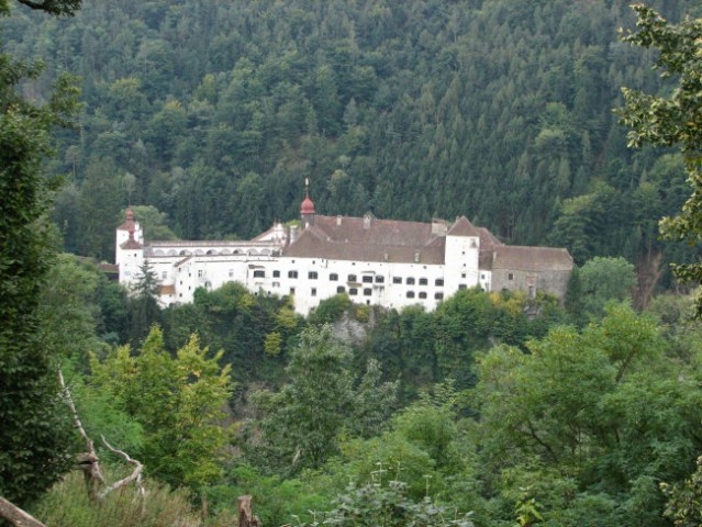 Tierwelt Herberstein - foto