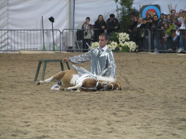 Verona 2008 - foto povečava