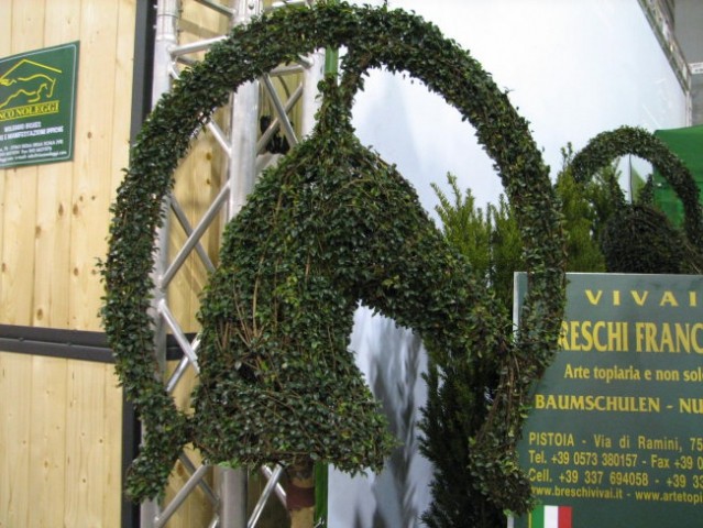 Verona 2008 - foto