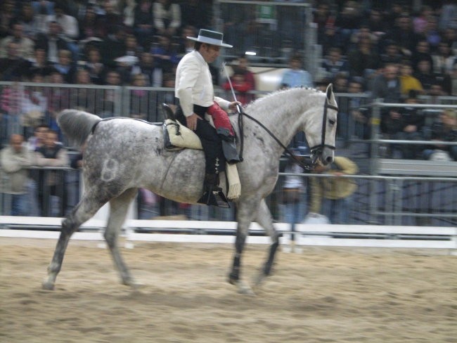 Verona 2008 - foto povečava