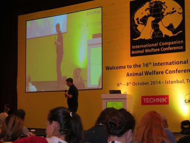 ICAWC 2014 Istanbul - foto