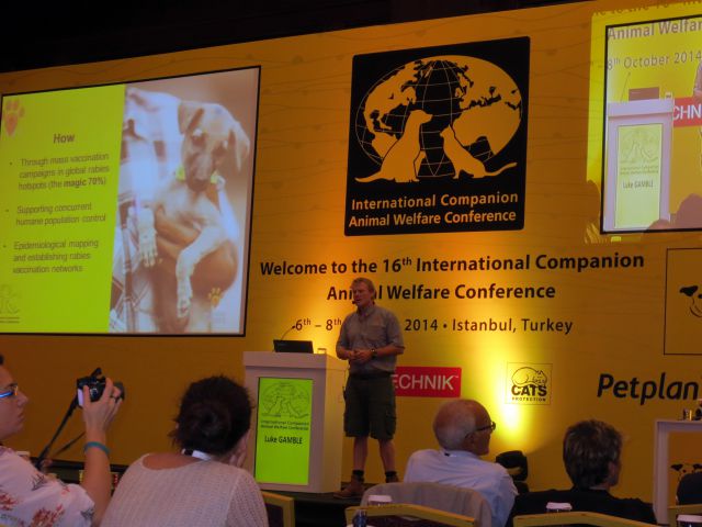 ICAWC 2014 Istanbul - foto