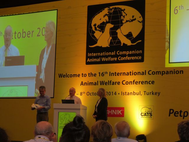 ICAWC 2014 Istanbul - foto