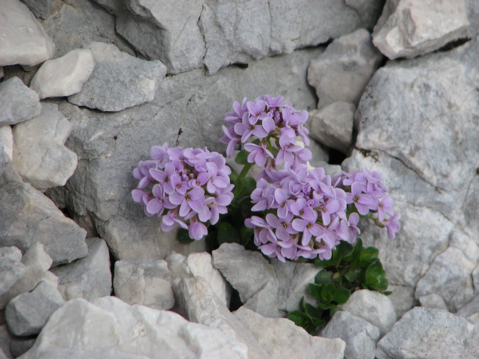 Kriški podi part 2 - foto povečava