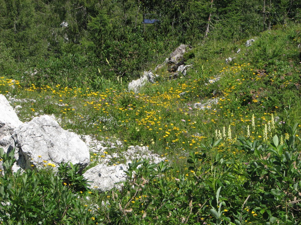 Dopust day 3 - Vogel in Šija - foto povečava