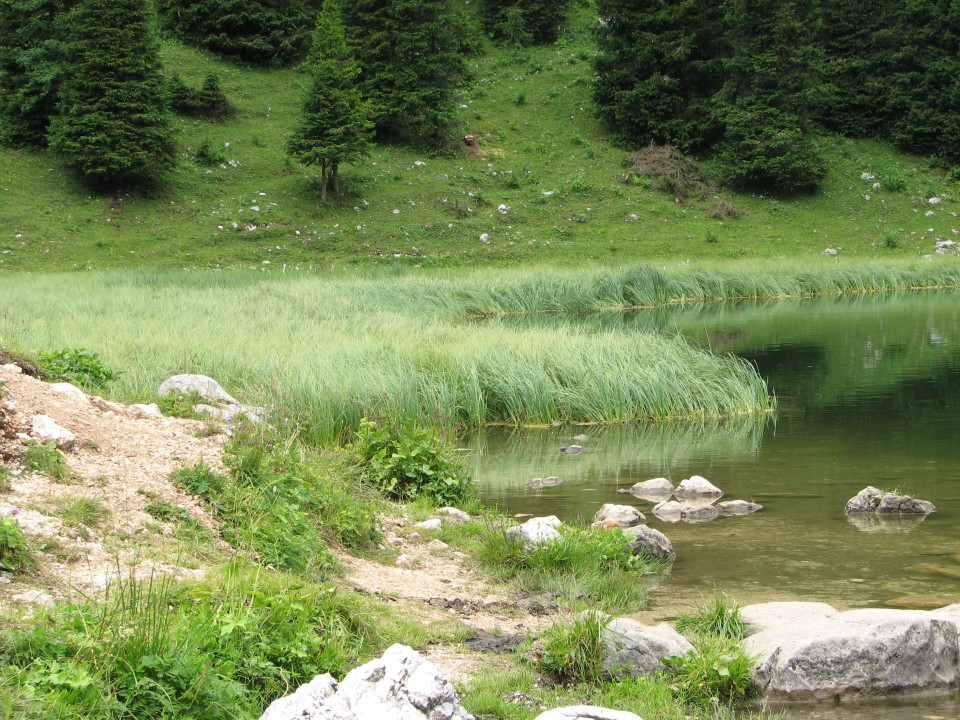 Dopust day 4 - Planina Jezero - foto povečava