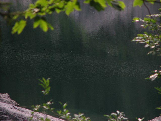 Dopust day 6 - Triglavska jezera čez Komarčo - foto