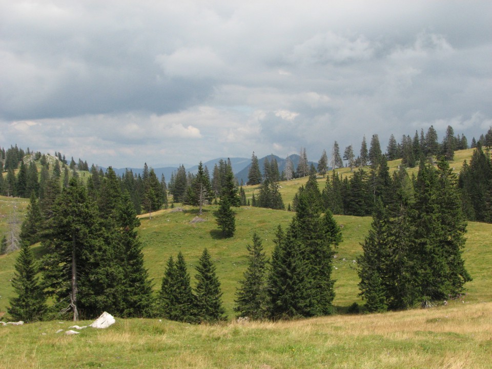 Dopust - Velika planina - foto povečava