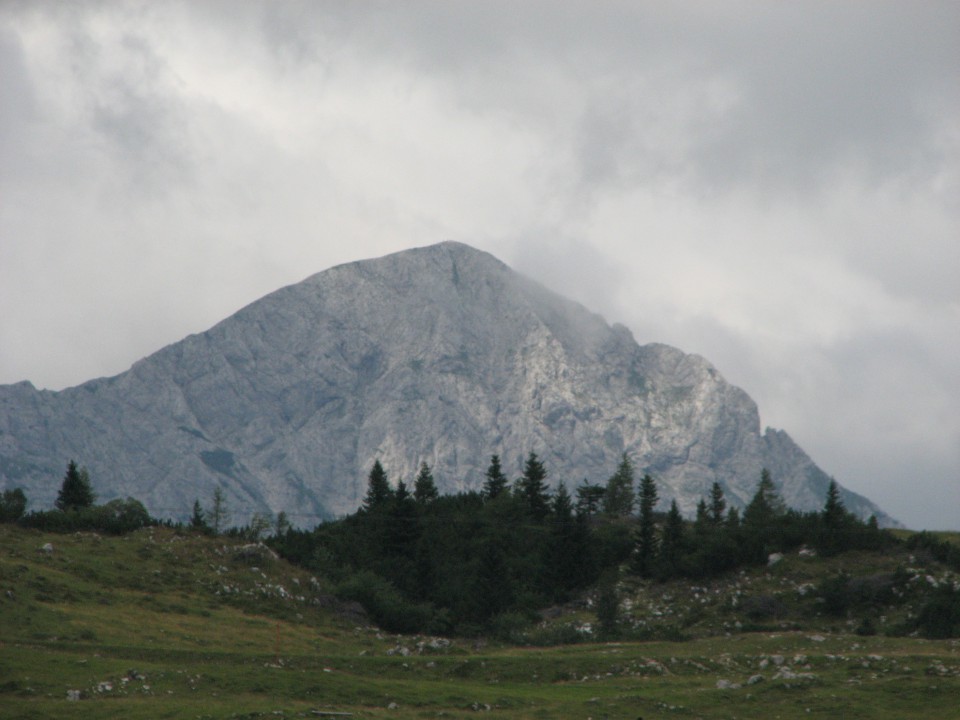 Dopust - Velika planina - foto povečava