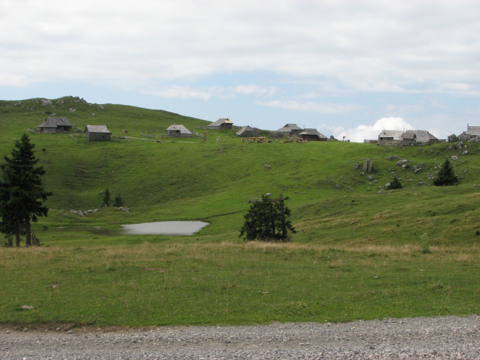 Dopust - Velika planina - foto povečava