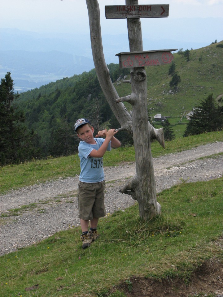 Dopust - Velika planina - foto povečava