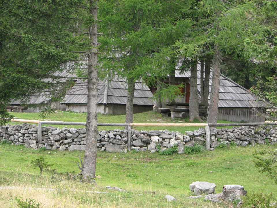 Dopust - Velika planina - foto povečava